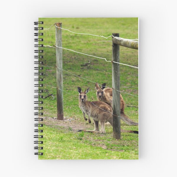 Item preview, Kangaroos at Pambula Beach designed and sold by Darren Stones.