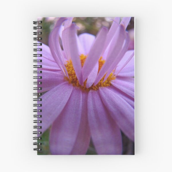 Item preview, ups-a-daisy designed and sold by Jan Stead JEMproductions.