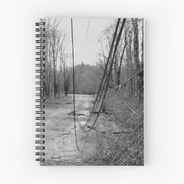 Item preview, Old Westminster Rd Hubardston MA: Ice Storm Series Monochrome designed and sold by Rebecca Bryson.