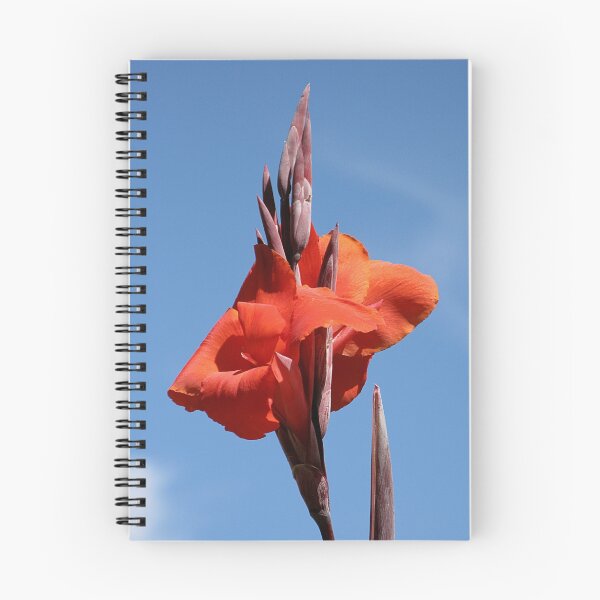 Item preview, Red Canna Lily designed and sold by Jenny Brice.