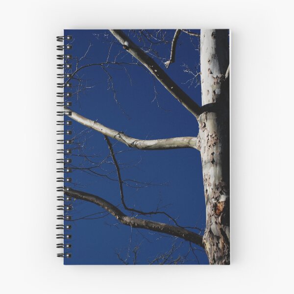 Item preview, American Sycamore in Winter designed and sold by TJ Zook.