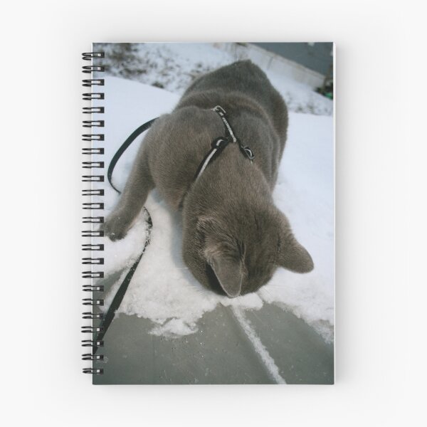 Aperçu de l'œuvre Brutus' First Time In The Snow créée et vendue par Fern Design.