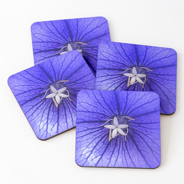 Item preview, Balloon Flower designed and sold by angel1.