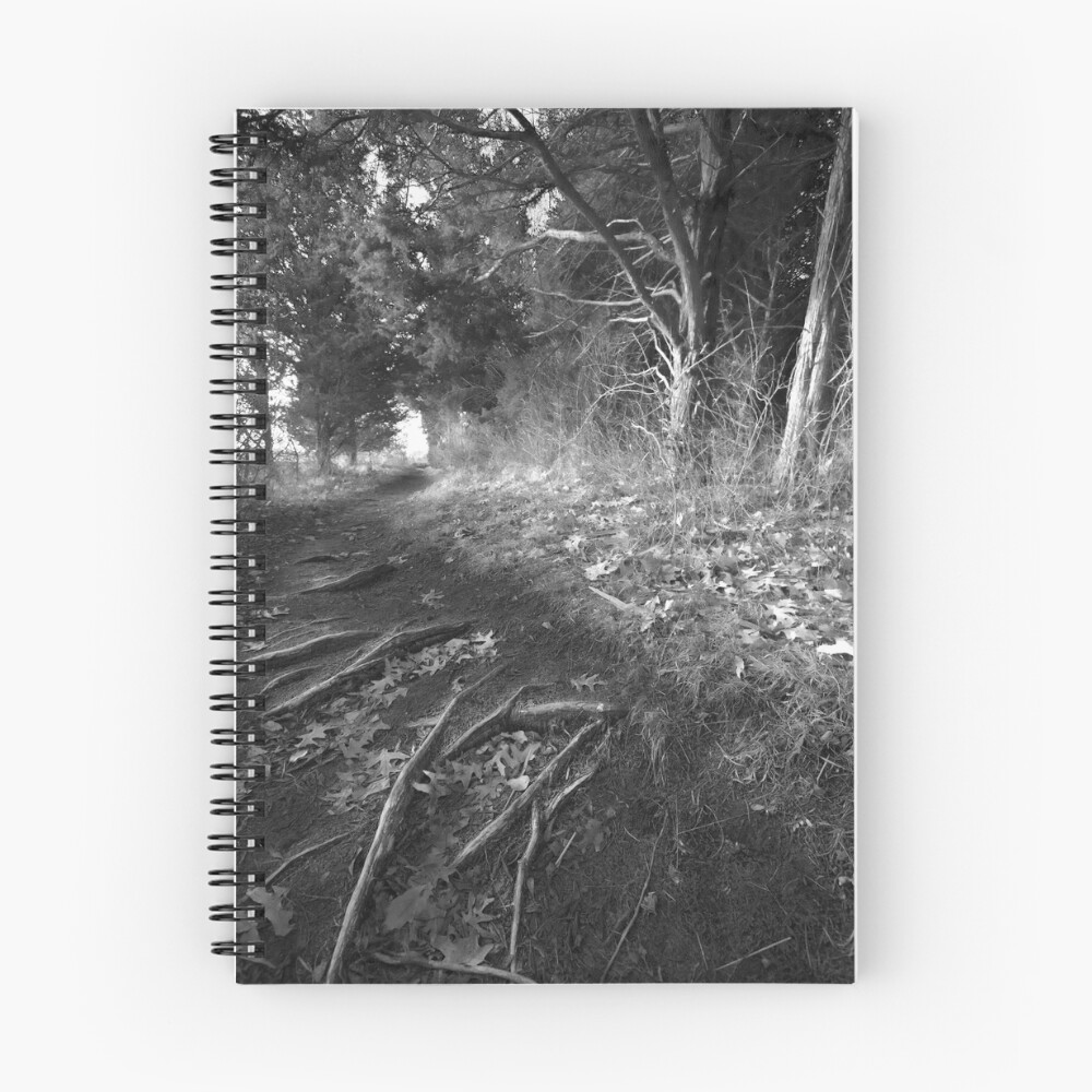 Item preview, Spiral Notebook designed and sold by capecodart.