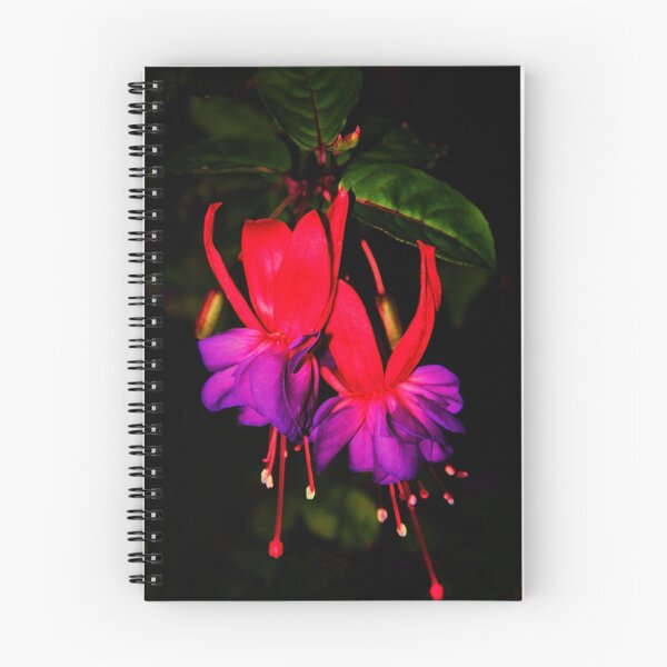 Item preview, Fuschia Magic designed and sold by Polly Peacock.
