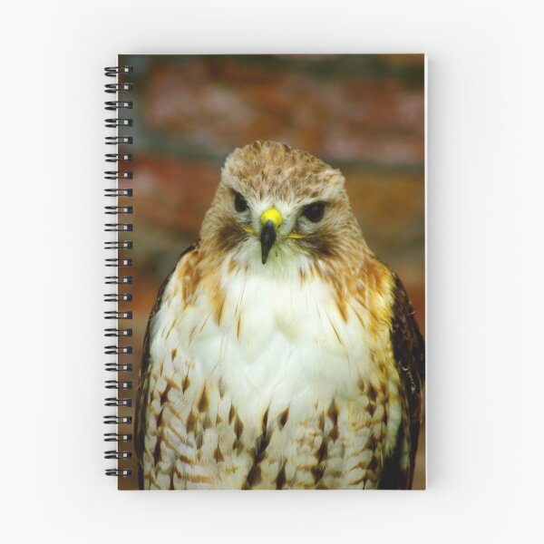 Item preview, Falcon designed and sold by Trevor Kersley.