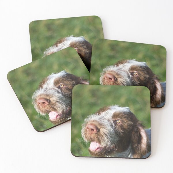Item preview,  Puppy Smile Spinone designed and sold by FOLK ART FUSION.