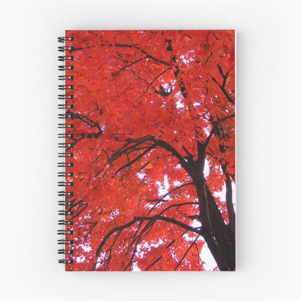 Item preview, Red Maple designed and sold by elasita.