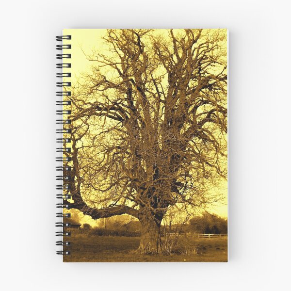 Item preview, AL PHAGOS  -  BEECH TREE -  'QUEEN OF THE WOODS' designed and sold by ANNETTE HAGGER.