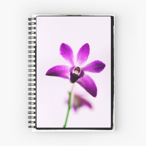 Artikelvorschau, Dendrobium entworfen und verkauft von orchiddesign.