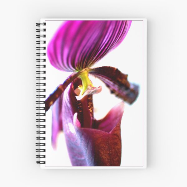 Artikelvorschau, Purple Paphiopedilum entworfen und verkauft von orchiddesign.
