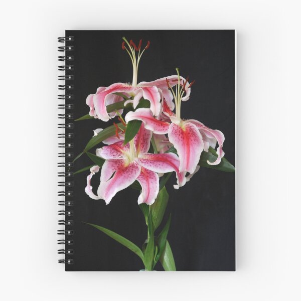 Item preview, Elegance designed and sold by Gabrielle Battersby.