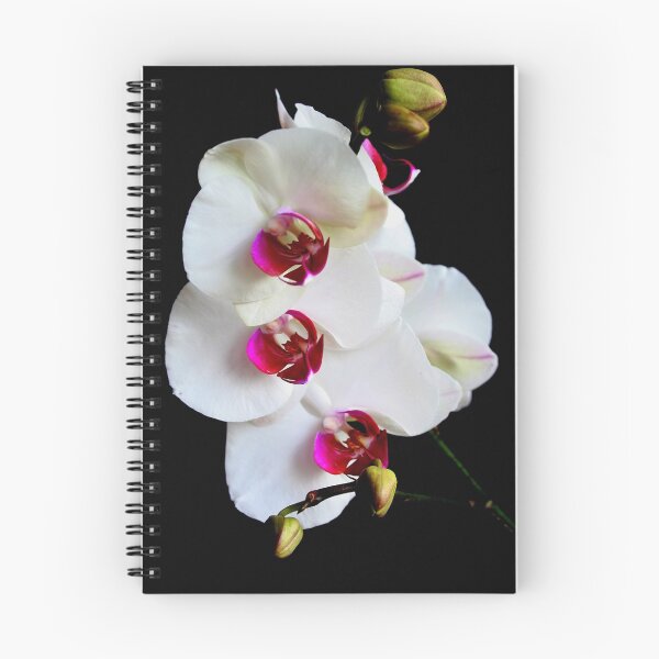 Item preview, Orchid designed and sold by Janine  Hewlett.