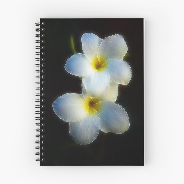 Item preview, Two designed and sold by Virginia N. Fred.