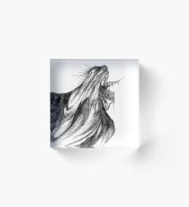 Under The Bed Acrylic Block