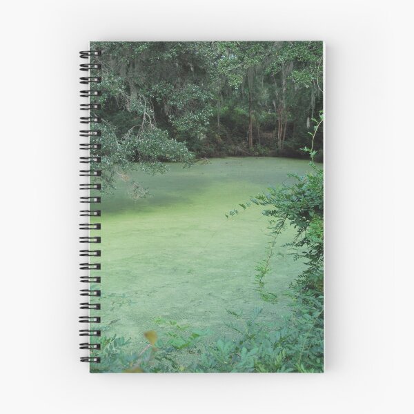Item preview, Dream-scape designed and sold by Simon Barwick.