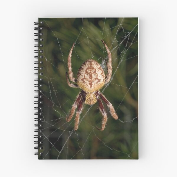 Item preview, Garden Orb Weaver designed and sold by Andrew Trevor-Jones.