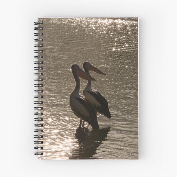 Artikelvorschau, Two Little Pelicans Sitting On A Log entworfen und verkauft von Jonathon Boyd.