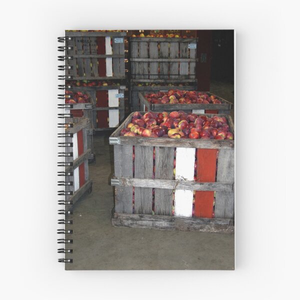 Artikelvorschau, Apples for Sale entworfen und verkauft von Anne Smyth.