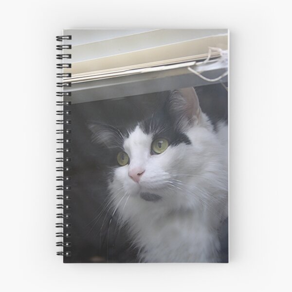 Item preview, Watching the Snow designed and sold by Lori Walton.