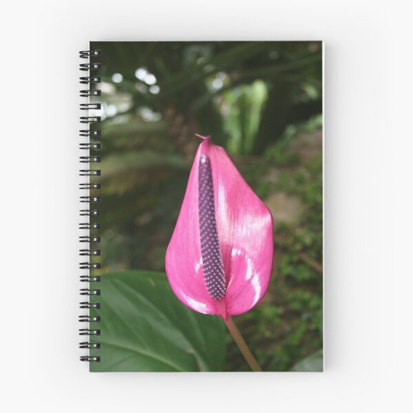 Item preview, Polished Pink designed and sold by Mary Ann Battle.