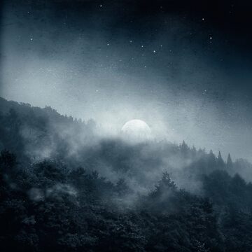 Artwork thumbnail, Night Shadows - Moon Over Misty Forest at Night by Dyrk Wyst Redbubble Shop
