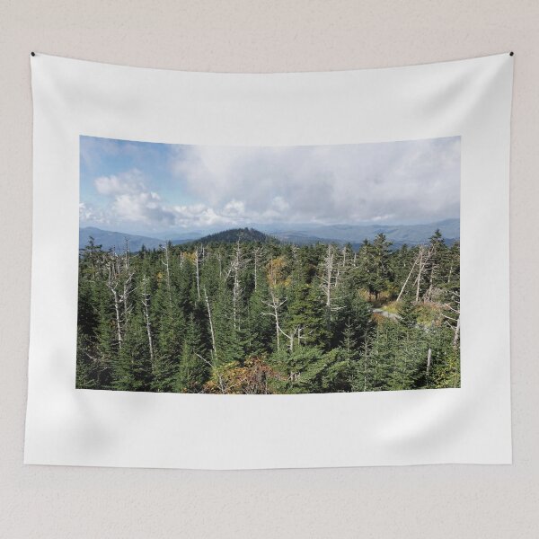 Item preview, View From The Observation Tower At Clingmans Dome 4 - Great Smoky Mountain National Park designed and sold by jtrommer.