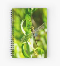 Dragonfly Spiral Notebook