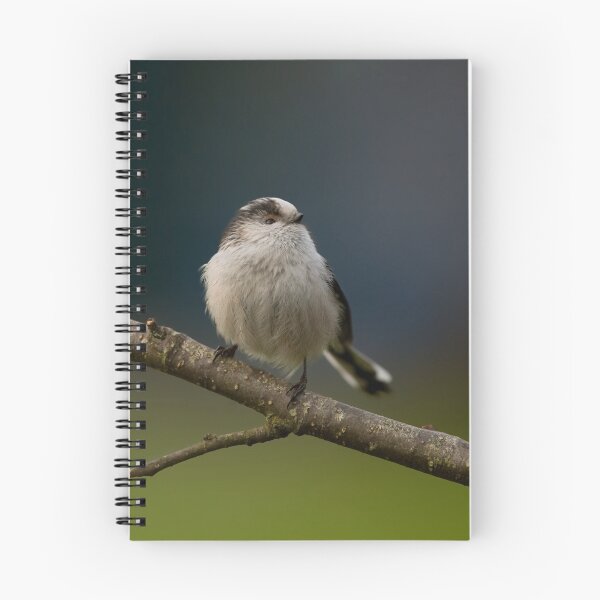 Artikelvorschau, Long-Tailed Tit entworfen und verkauft von JamieP.