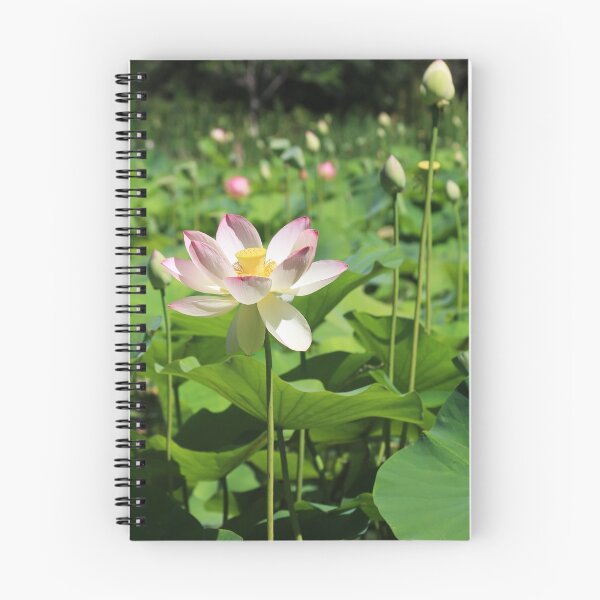 Item preview, Lily Delight designed and sold by Naomi Clarke.
