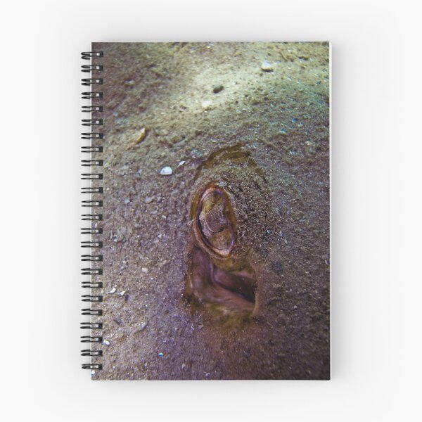 Item preview, Eye of the beholder.  designed and sold by Larrikin  Photography.