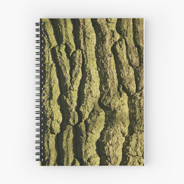 Item preview, Mother nature's age lines designed and sold by George Parapadakis ARPS (monocotylidono).