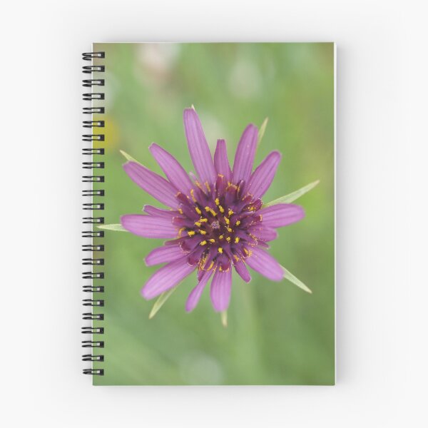 Artikelvorschau, purple entworfen und verkauft von Rosemaree.