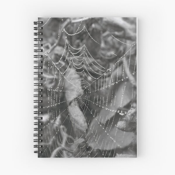 Item preview, Dew on cobwebs designed and sold by daimonic.
