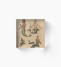 Vintage Mermaid Illustrations (1775) Acrylic Block
