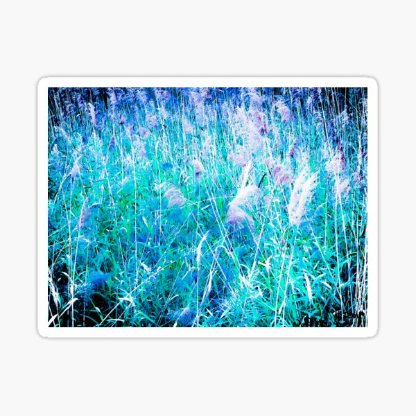 Teals of Marsh Sticker
