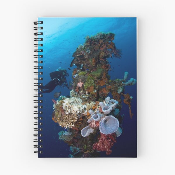 Item preview, HOKI COLOR designed and sold by UNDERWATER EXPLORATION.