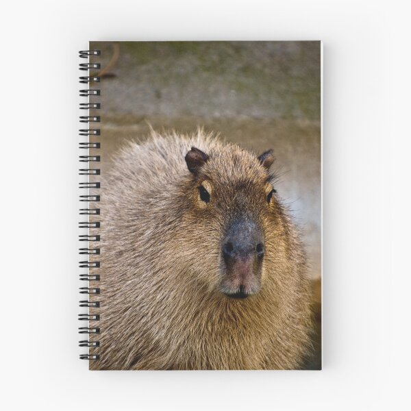 Item preview, Capybara designed and sold by Daveart.