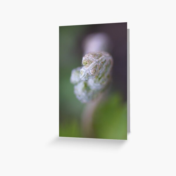 Sadness Greeting Card