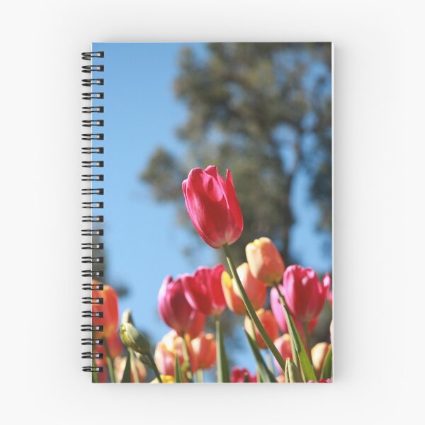 Artikelvorschau, Tulips and Araluen entworfen und verkauft von Andreas Koepke.