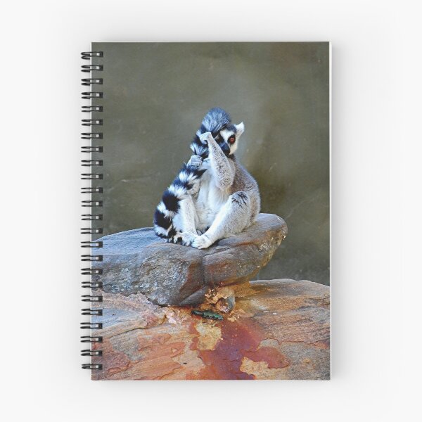 Item preview, Ring-Tailed Lemur "Lemur catta" designed and sold by patapping.
