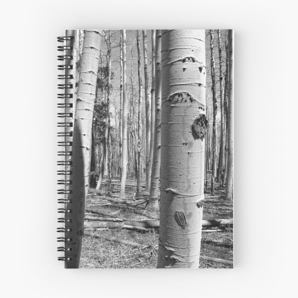Item preview, Aspen Grove designed and sold by Paul Magnanti.