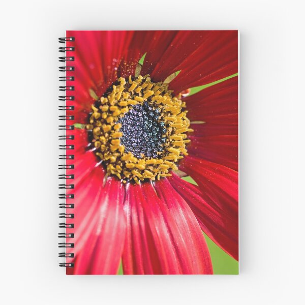 Item preview, Red Flower  designed and sold by Amy Skinder.