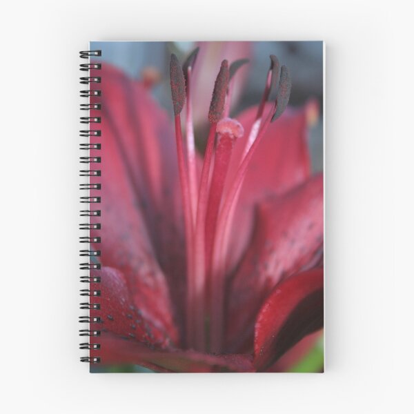 Item preview, The Consul Meeting designed and sold by stephenralph.