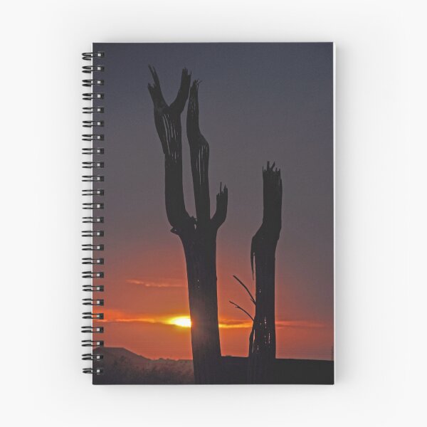 Item preview, Sunset Through Cactus  designed and sold by Judy Ann  Grant.