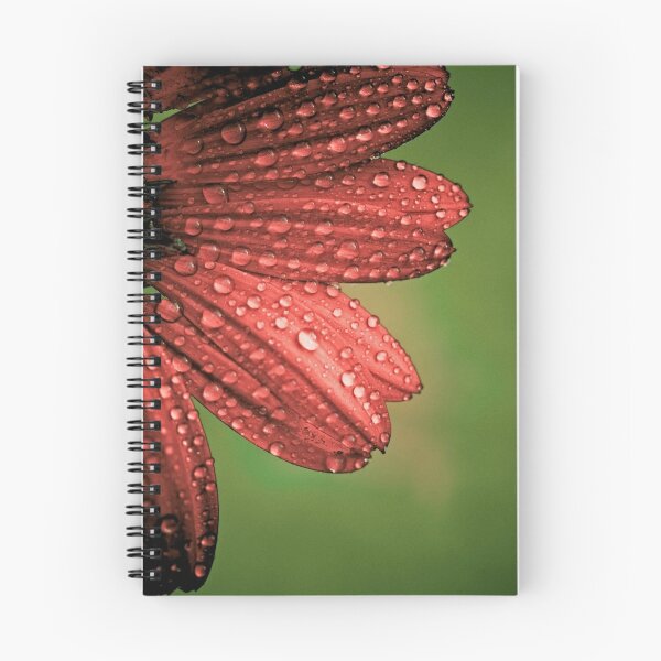 Item preview, Red Flower with Waterdroplets designed and sold by Amy Skinder.