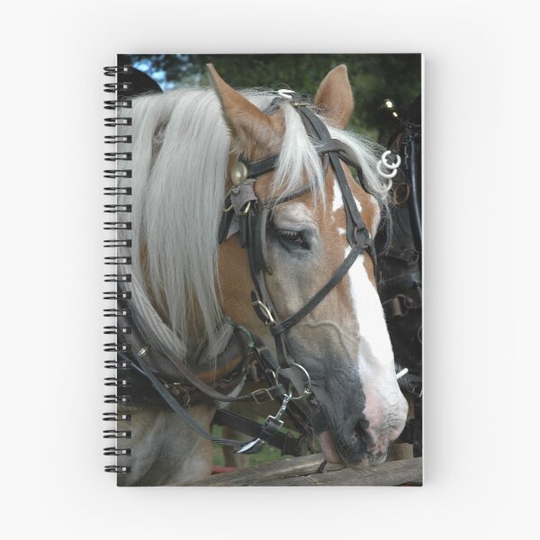 Item preview, "DRAY HORSE TAKING A BREAK" designed and sold by Edward J. Laquale.