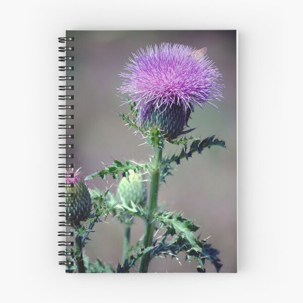 Artikelvorschau, Thistle and Skipper entworfen und verkauft von Anne Smyth.
