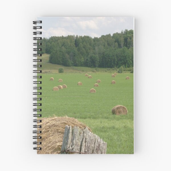 Item preview, Hay! designed and sold by Les Wazny.