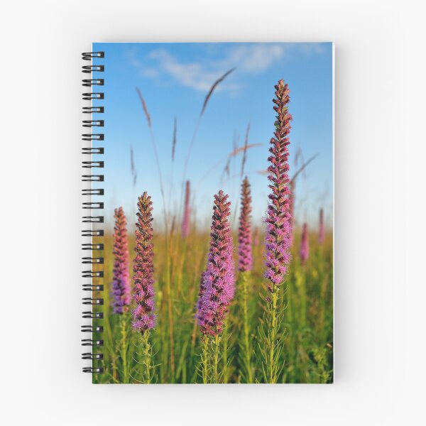 Item preview, Blazing Star Wildflowers designed and sold by Nathan Lovas Photography.